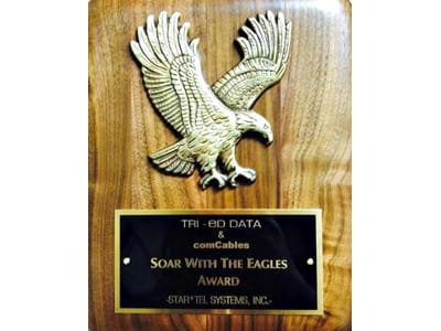 Soar with the Eagles Award